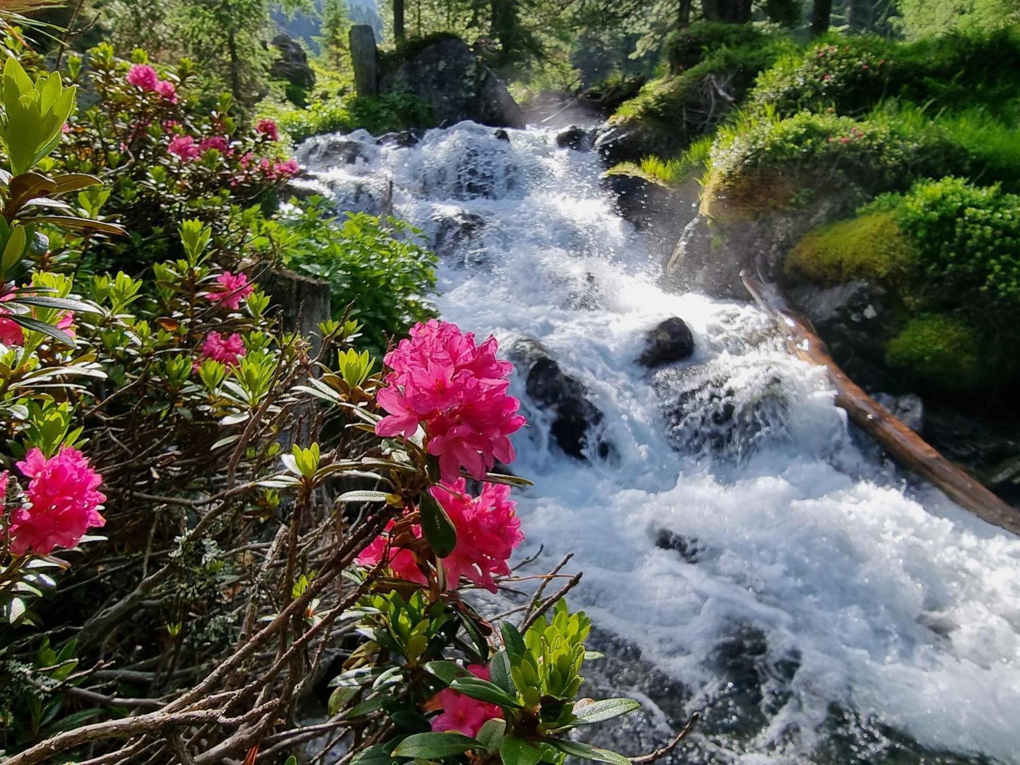 Вилла Klampererhof Фирген Экстерьер фото