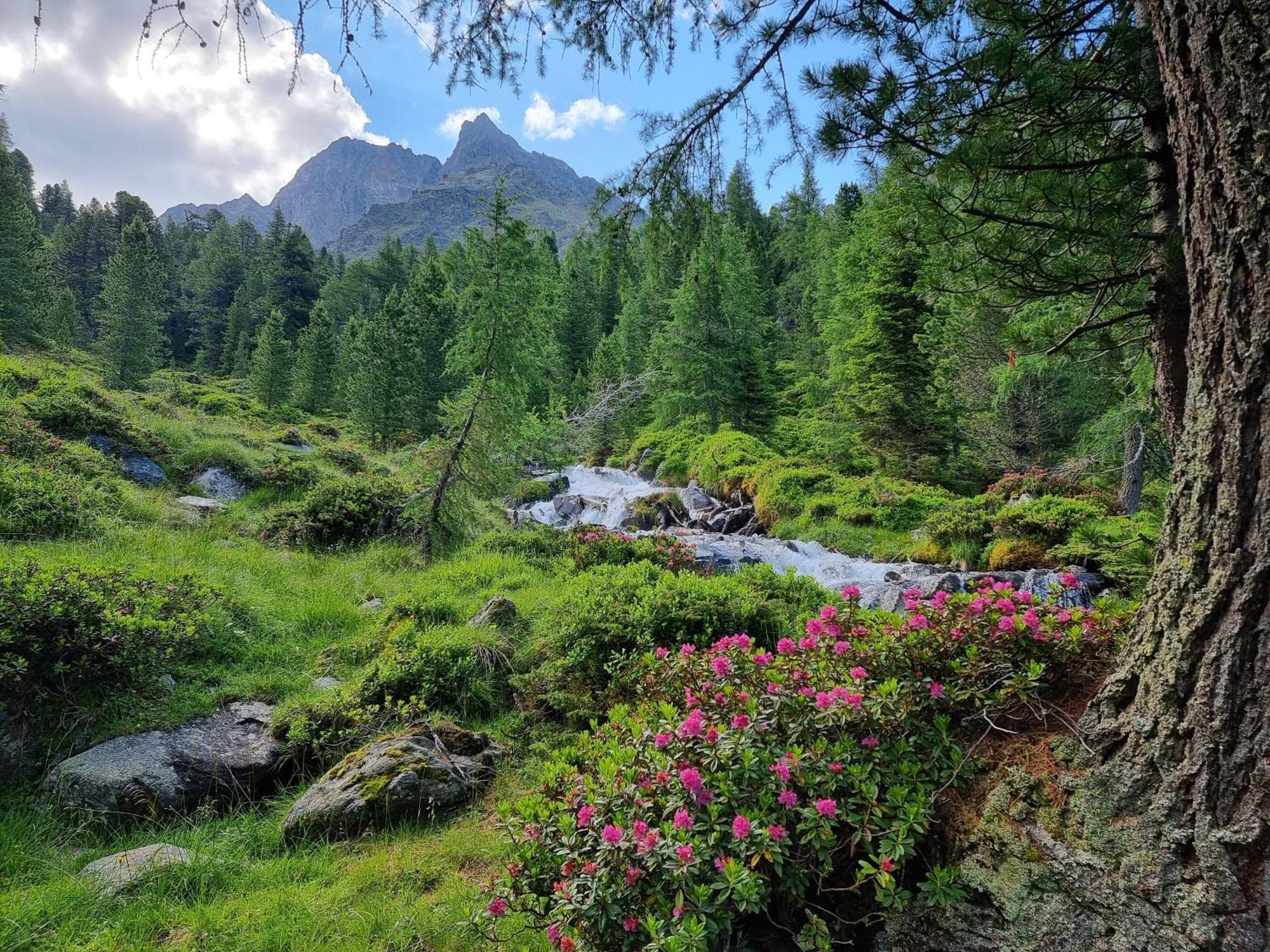 Вилла Klampererhof Фирген Экстерьер фото
