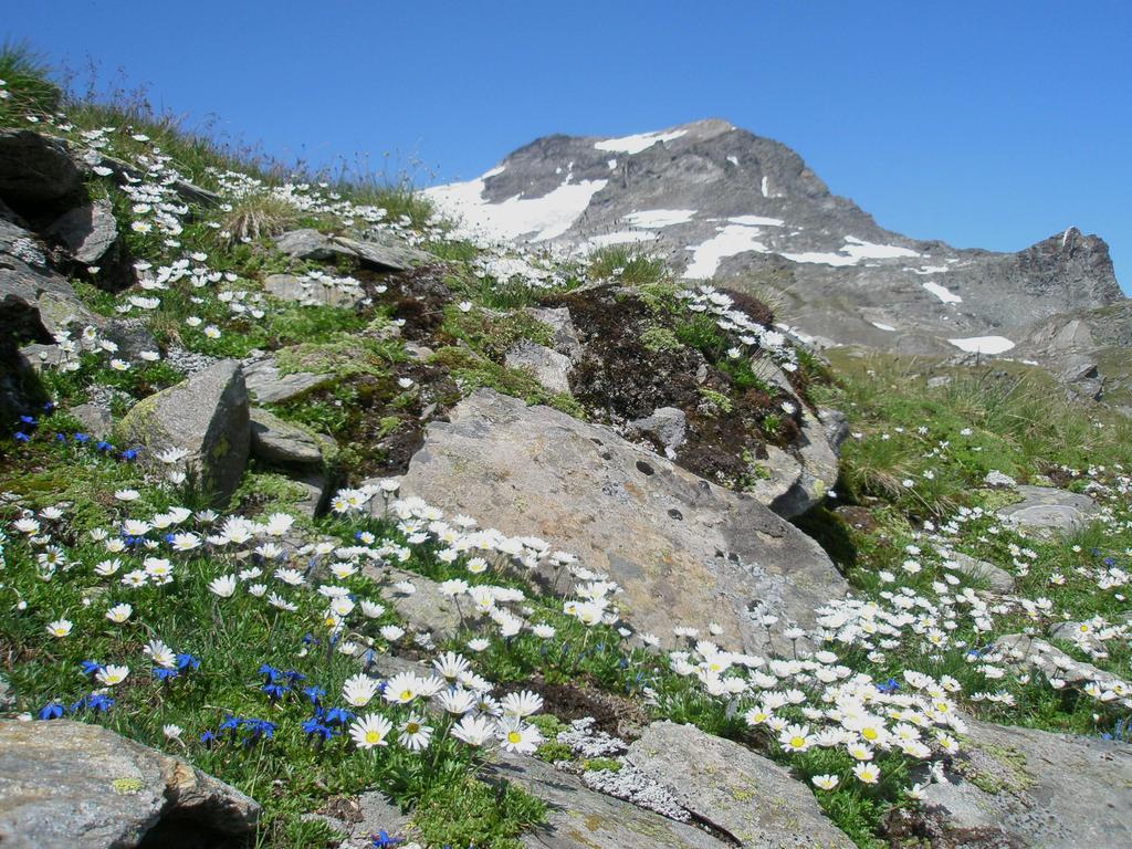 Вилла Klampererhof Фирген Экстерьер фото